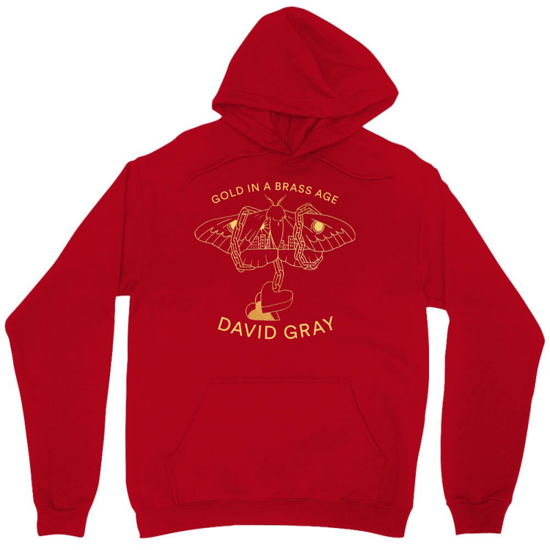 New David Gray In A Tour 2019 Unisex Hoodie by deurinnipahy | Artistshot