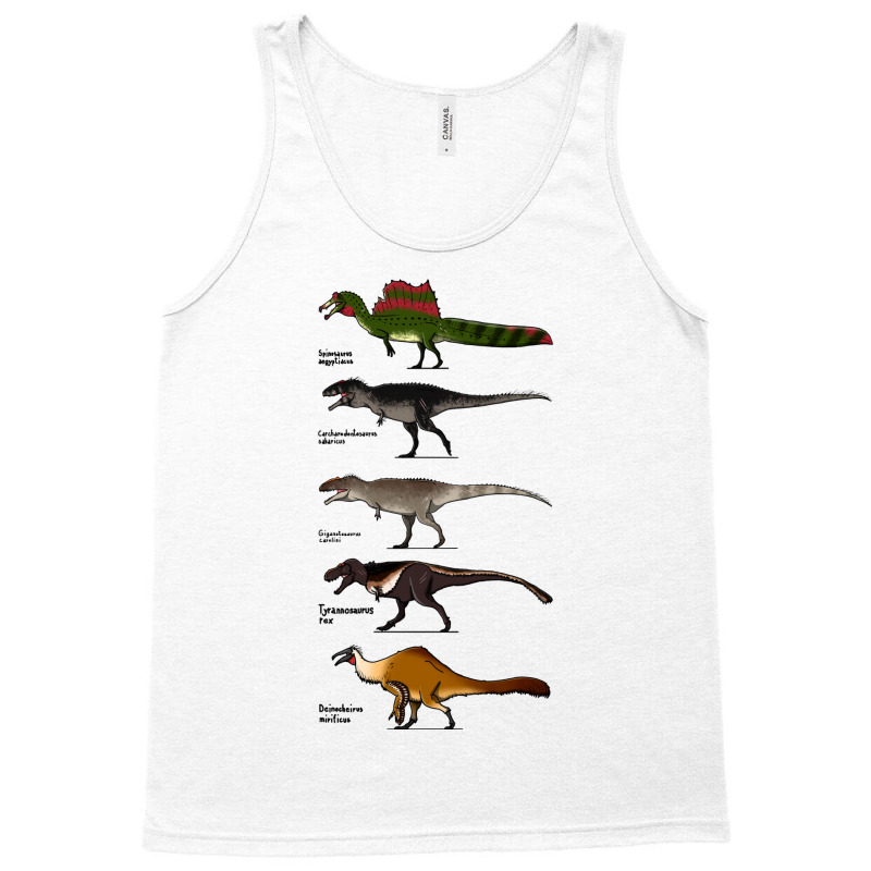 Big Theropods Aesthetic Tank Top | Artistshot