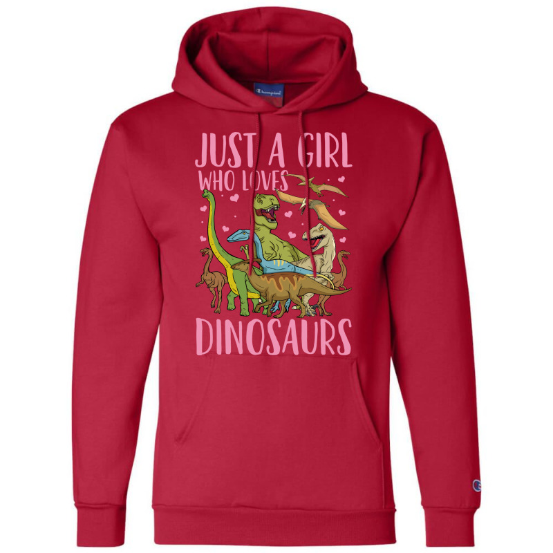 Dinosaurs Dinosaur Lover Paleontologist Retro Champion Hoodie | Artistshot