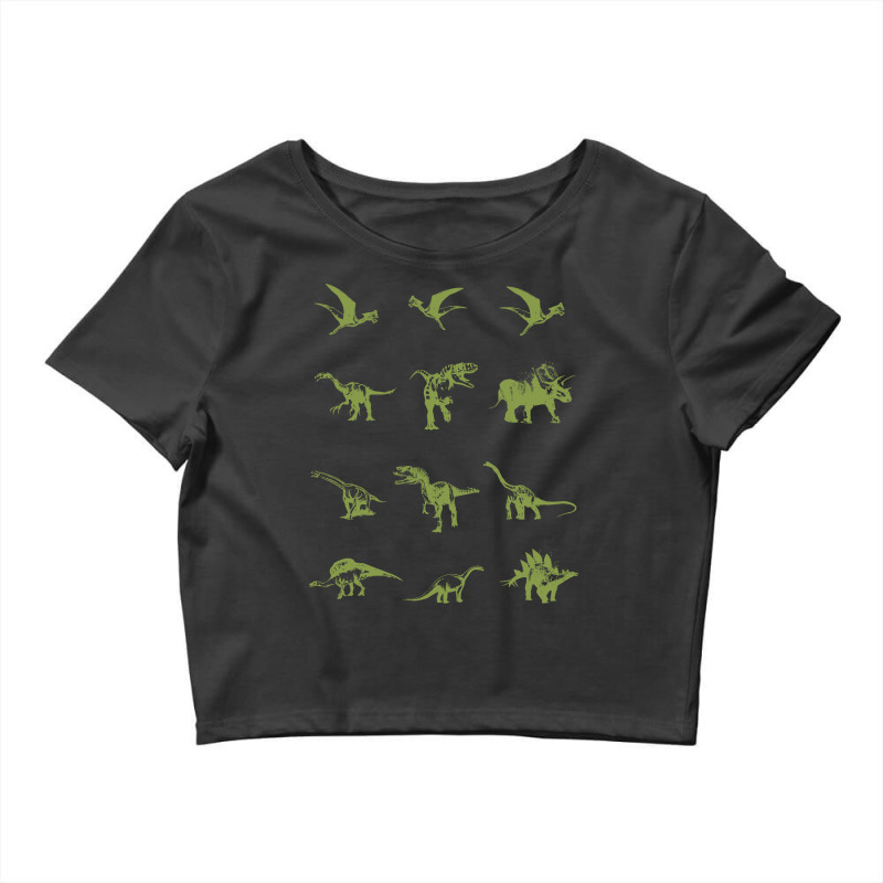 Different Types Of Dinosaurs 70s Crop Top by dhurwechorrix | Artistshot