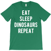 Eat Sleep Dinosaurs Repeat Summer T-shirt | Artistshot