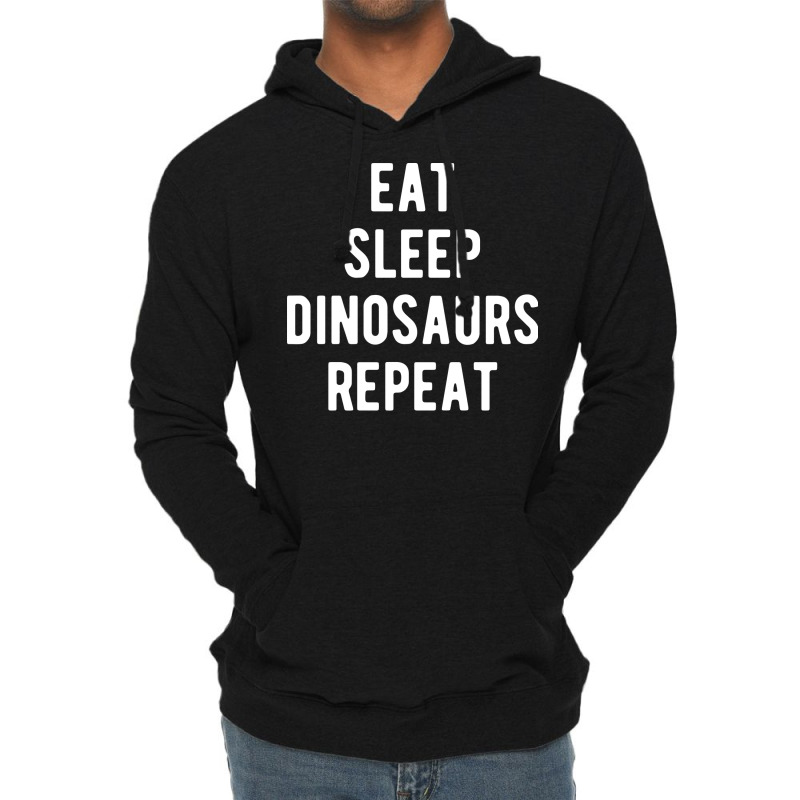 Eat Sleep Dinosaurs Repeat Summer Lightweight Hoodie | Artistshot