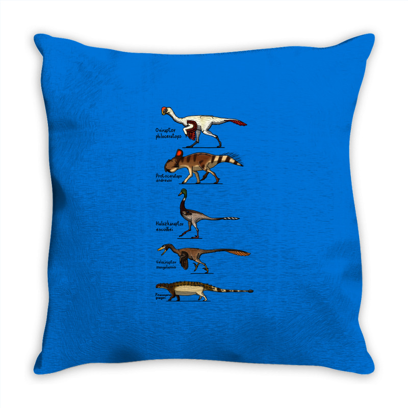 Djadochta Formation Hipster Throw Pillow | Artistshot