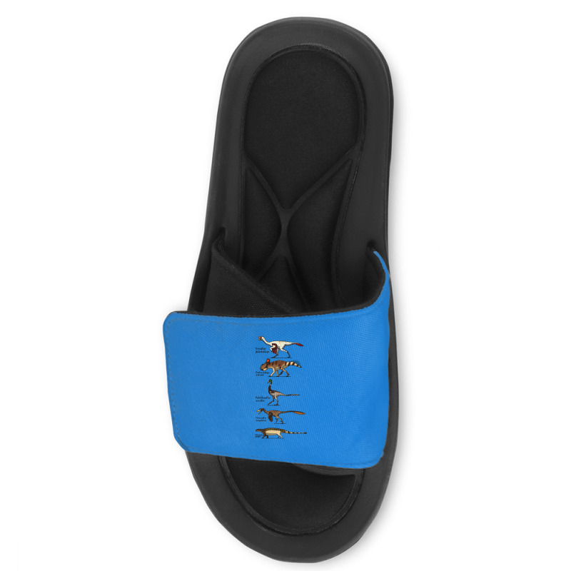 Djadochta Formation Hipster Slide Sandal | Artistshot