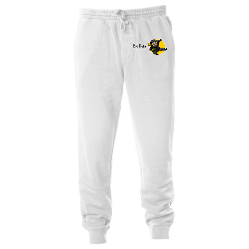 Efficient Big Data Engineer Aesthetic Unisex Jogger | Artistshot