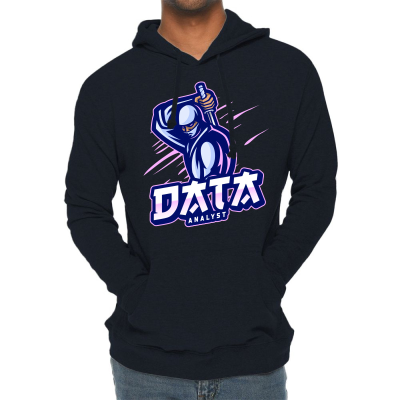 Data Analyst Expert Funny Lightweight Hoodie | Artistshot