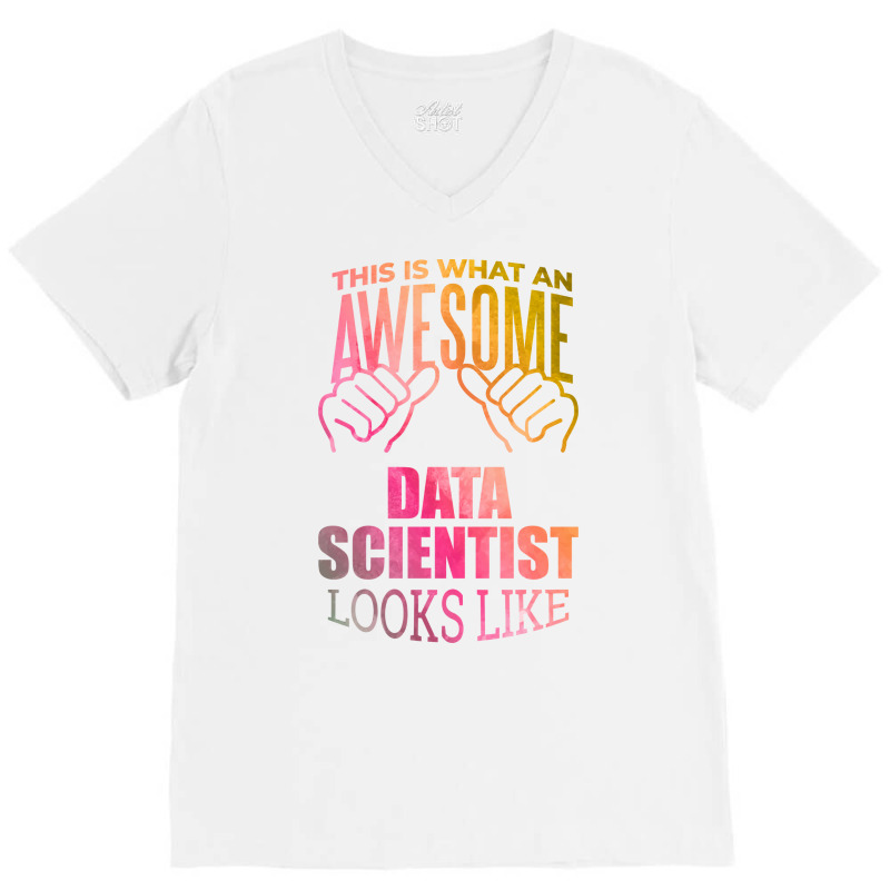 Data Scientist Aesthetic Travel V-neck Tee | Artistshot