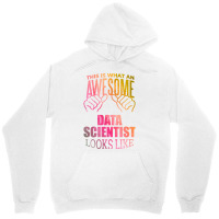 Data Scientist Aesthetic Travel Unisex Hoodie | Artistshot