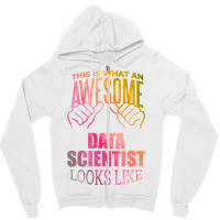 Data Scientist Aesthetic Travel Zipper Hoodie | Artistshot