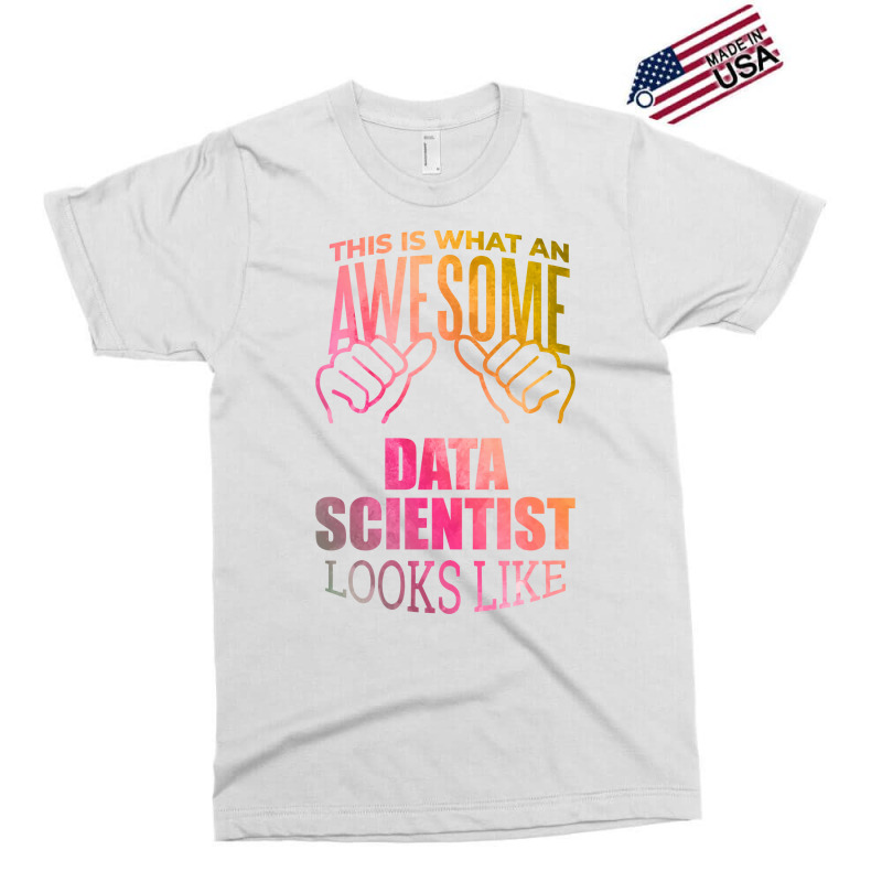 Data Scientist Aesthetic Travel Exclusive T-shirt | Artistshot