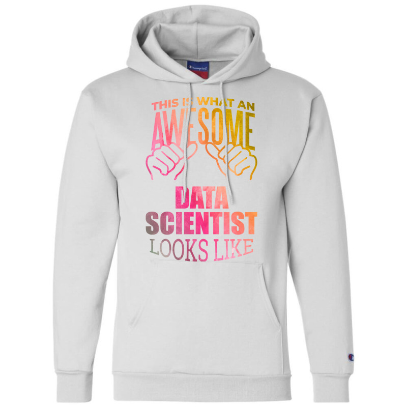 Data Scientist Aesthetic Travel Champion Hoodie | Artistshot