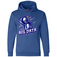 Big Data Engineer Expert 70s Champion Hoodie | Artistshot