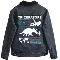 Triceratops Fact Sheet Green Unisex Sherpa-lined Denim Jacket | Artistshot