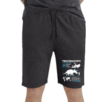 Triceratops Fact Sheet Green Vintage Short | Artistshot