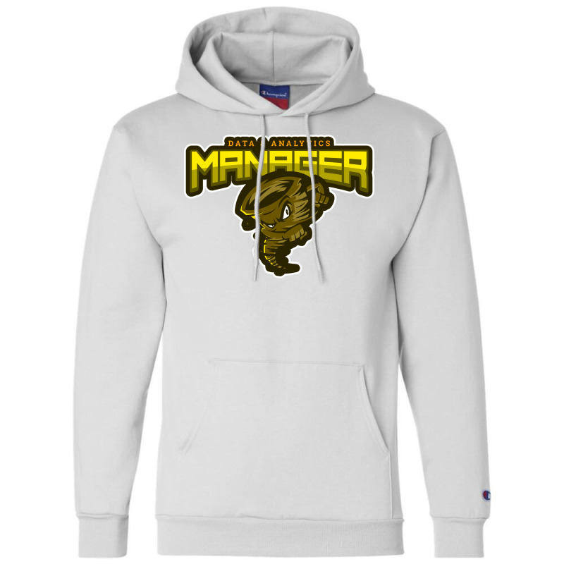 Furious Data Analytics Manager Gift Champion Hoodie by wideprietlo | Artistshot