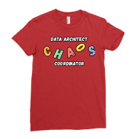 Data Architect Chaos Coordinator Gift Gift Ladies Fitted T-shirt | Artistshot