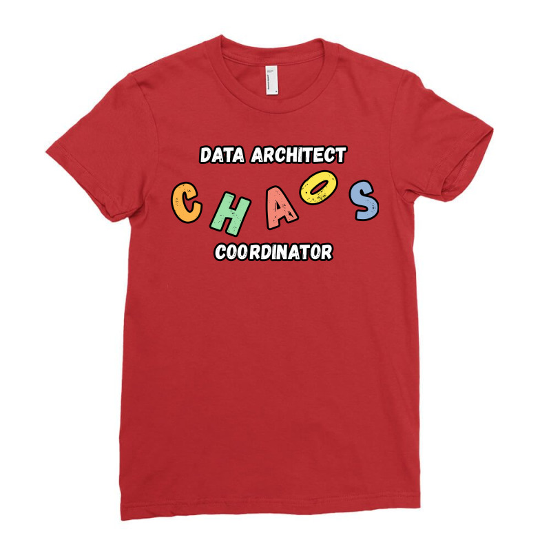 Data Architect Chaos Coordinator Gift Gift Ladies Fitted T-Shirt by zionemaaropt | Artistshot