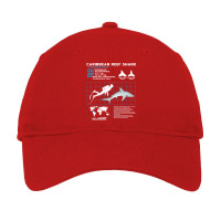 Caribbean Reef Shark Fact Sheet Trending Adjustable Cap | Artistshot