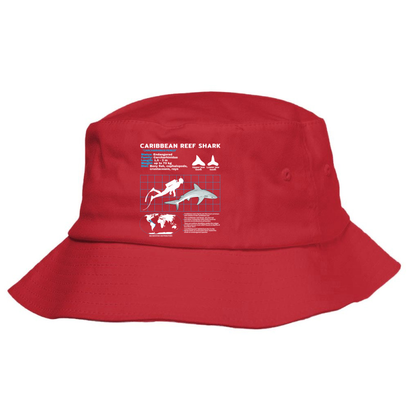 Caribbean Reef Shark Fact Sheet Trending Bucket Hat by qeshicefav | Artistshot