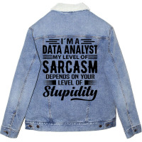 Im A Data Analyst Yellow Unisex Sherpa-lined Denim Jacket | Artistshot