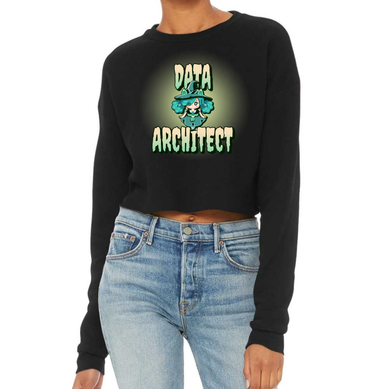 Pretty Data Architect Cute Cropped Sweater by takuzocimois | Artistshot