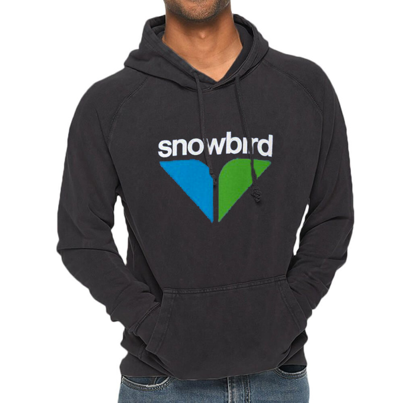 Snowbird Ski Vintage Hoodie | Artistshot