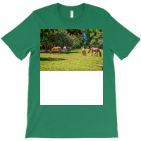 Wild Horses At Cumberland Island National Seashore T-shirt | Artistshot