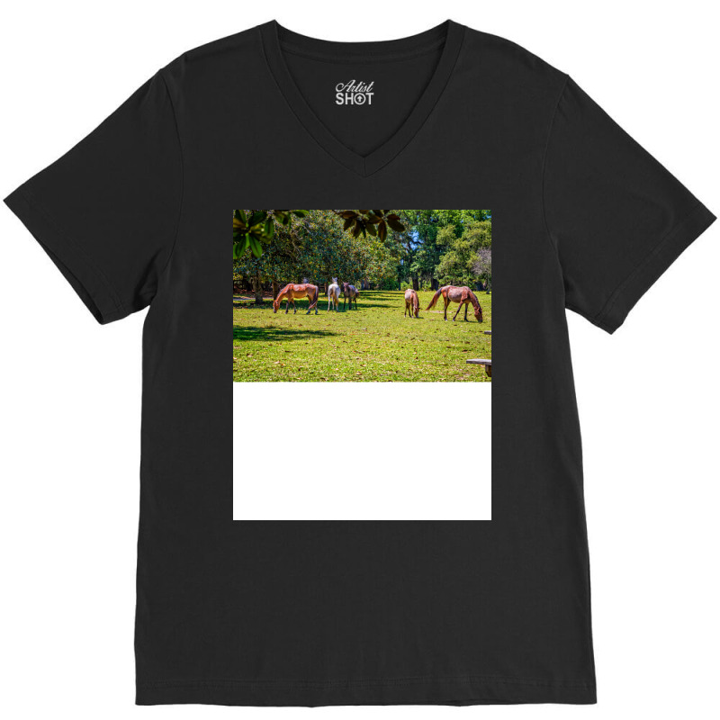 Wild Horses At Cumberland Island National Seashore V-Neck Tee by seakolaasseh | Artistshot