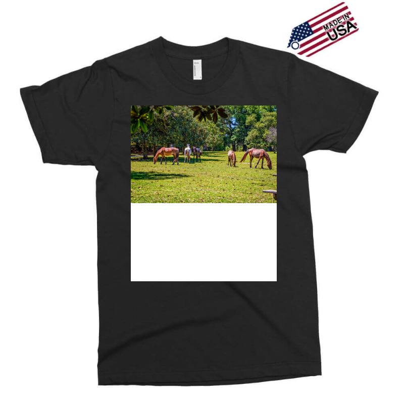 Wild Horses At Cumberland Island National Seashore Exclusive T-shirt by seakolaasseh | Artistshot