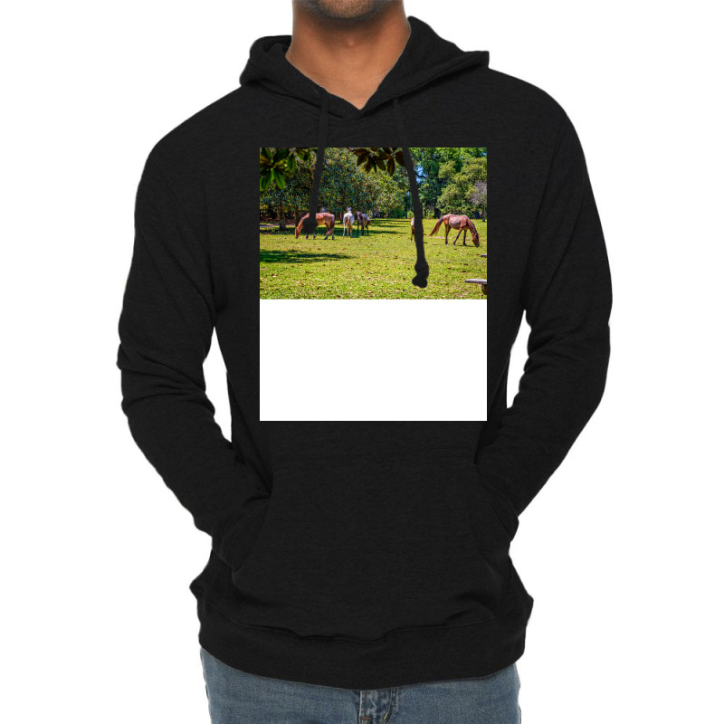 Wild Horses At Cumberland Island National Seashore Lightweight Hoodie by seakolaasseh | Artistshot