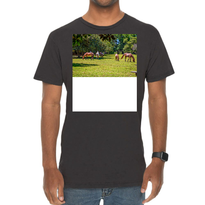 Wild Horses At Cumberland Island National Seashore Vintage T-Shirt by seakolaasseh | Artistshot