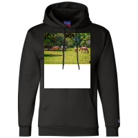 Wild Horses At Cumberland Island National Seashore Champion Hoodie | Artistshot