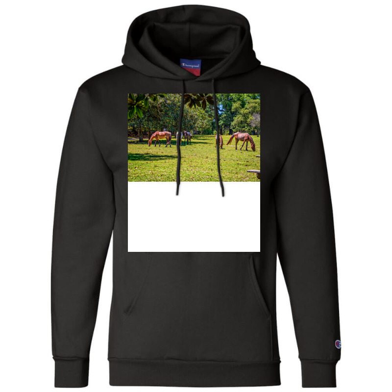 Wild Horses At Cumberland Island National Seashore Champion Hoodie by seakolaasseh | Artistshot