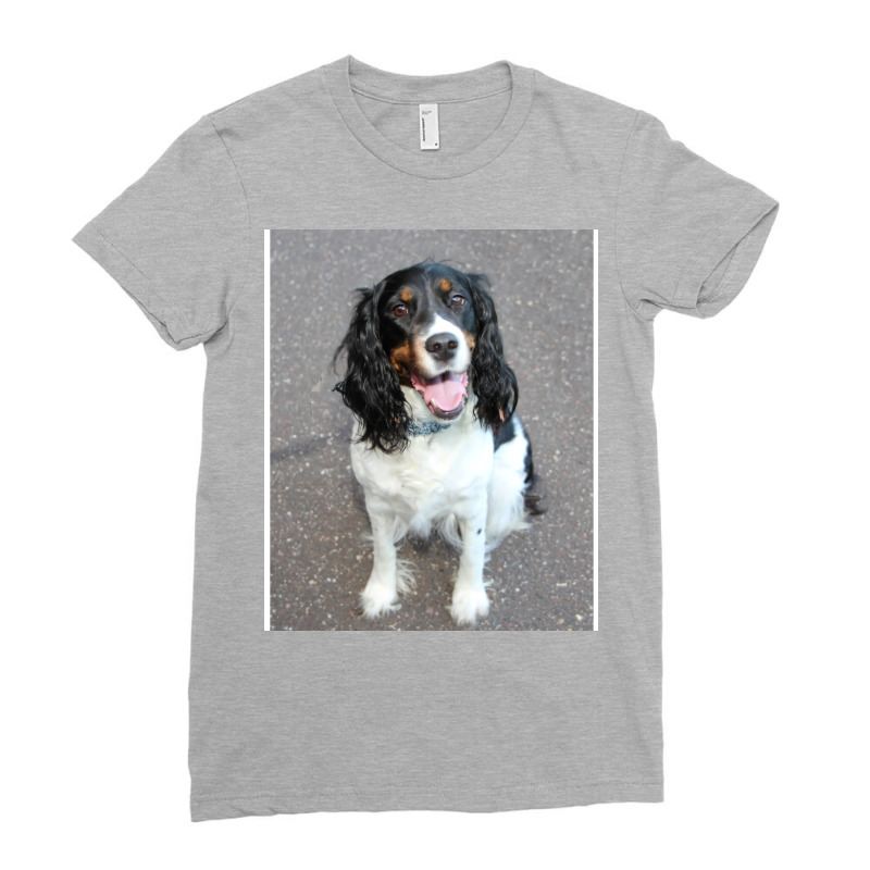 English Springer Spaniel Black White Tan Sitting H Ladies Fitted T-Shirt by sawinwillcaz | Artistshot