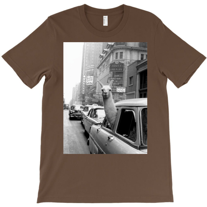 Lama   Nyc T-Shirt by viickybubolzw | Artistshot