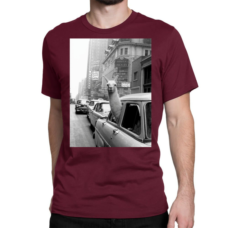 Lama   Nyc Classic T-shirt by viickybubolzw | Artistshot