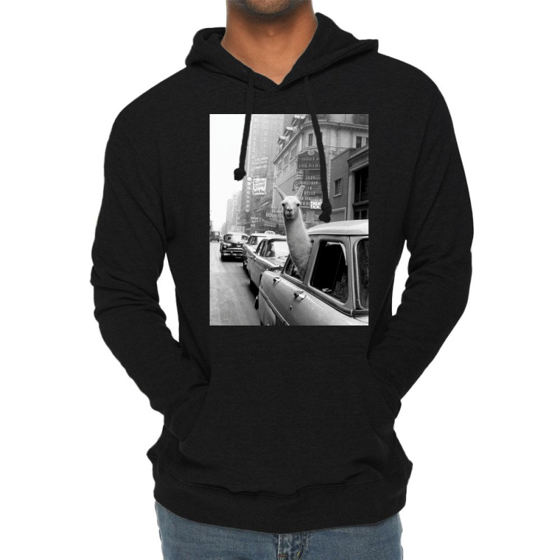 Lama   Nyc Lightweight Hoodie by viickybubolzw | Artistshot