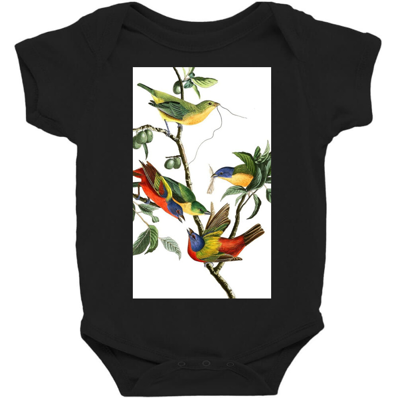 John James Audubon   Painted Bunting Baby Bodysuit by Odayas | Artistshot