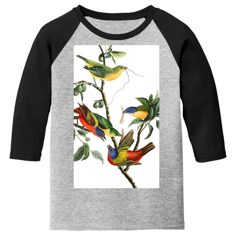 John James Audubon   Painted Bunting Youth 3/4 Sleeve by Odayas | Artistshot