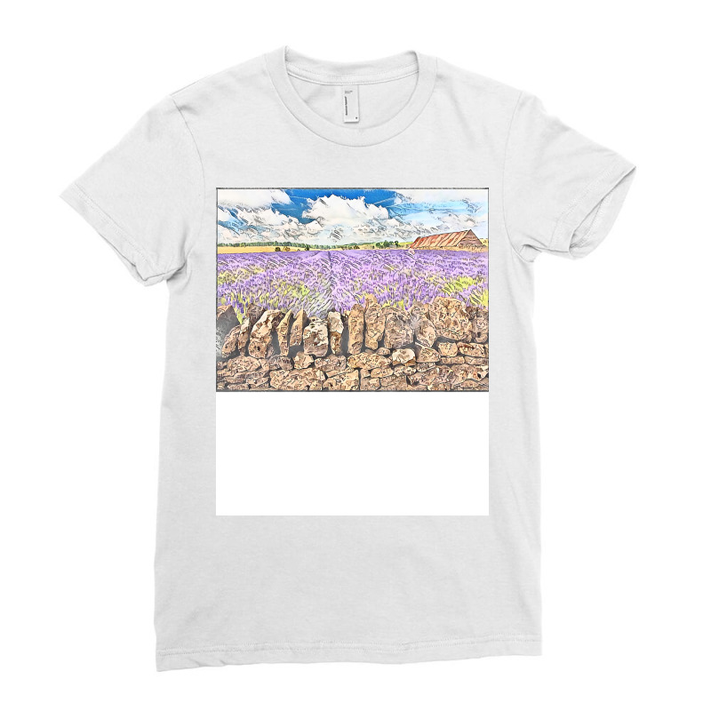 The Journey Of The Botanist Nostalgia Ladies Fitted T-Shirt by laftermaderod | Artistshot