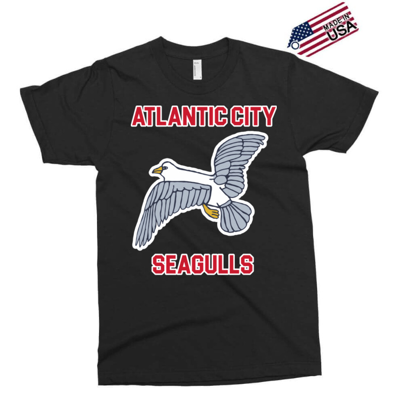 Atlantic City Seagulls )( Retro Throwback Basketba Exclusive T-shirt | Artistshot