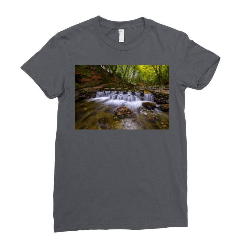 Tollymore Forest Park  County Down  Northern Irela Ladies Fitted T-Shirt by oliwermabopep | Artistshot