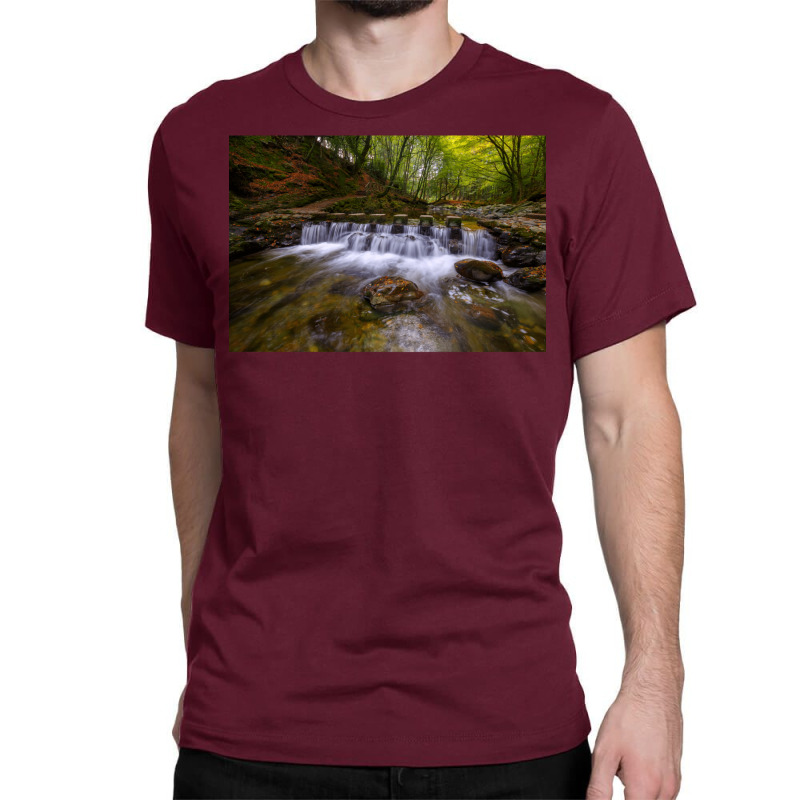 Tollymore Forest Park  County Down  Northern Irela Classic T-shirt by oliwermabopep | Artistshot