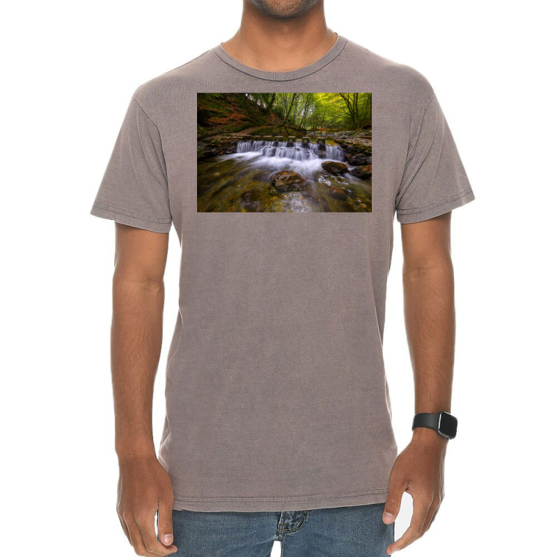 Tollymore Forest Park  County Down  Northern Irela Vintage T-Shirt by oliwermabopep | Artistshot