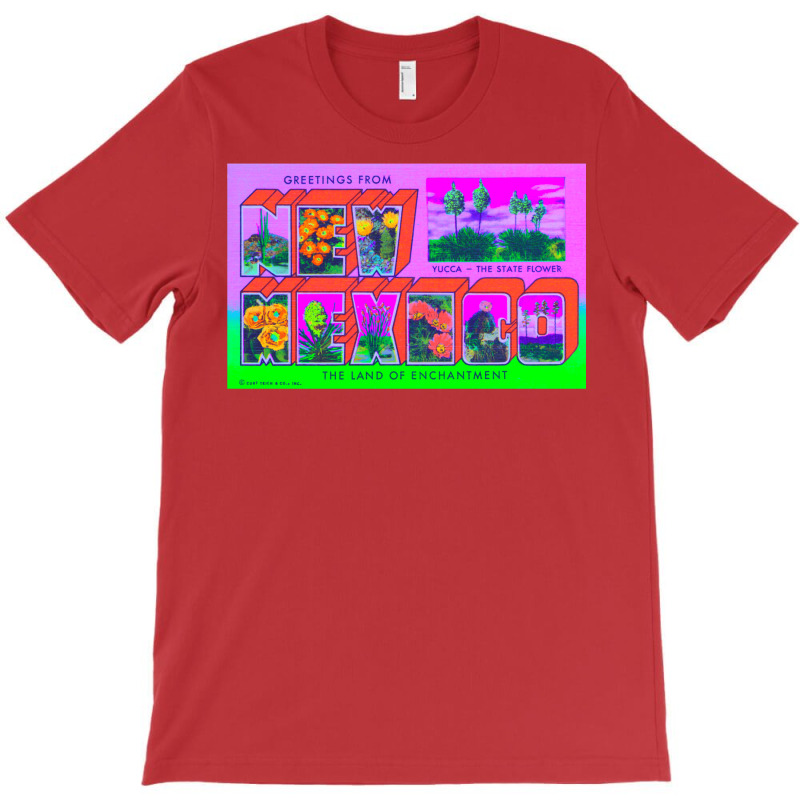 New Mexico 1 T-shirt | Artistshot