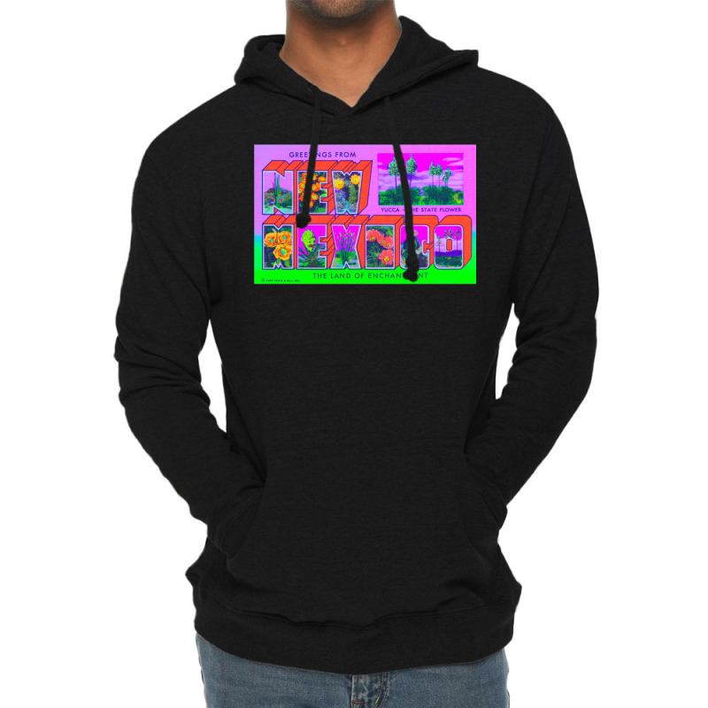 New Mexico 1 Lightweight Hoodie | Artistshot