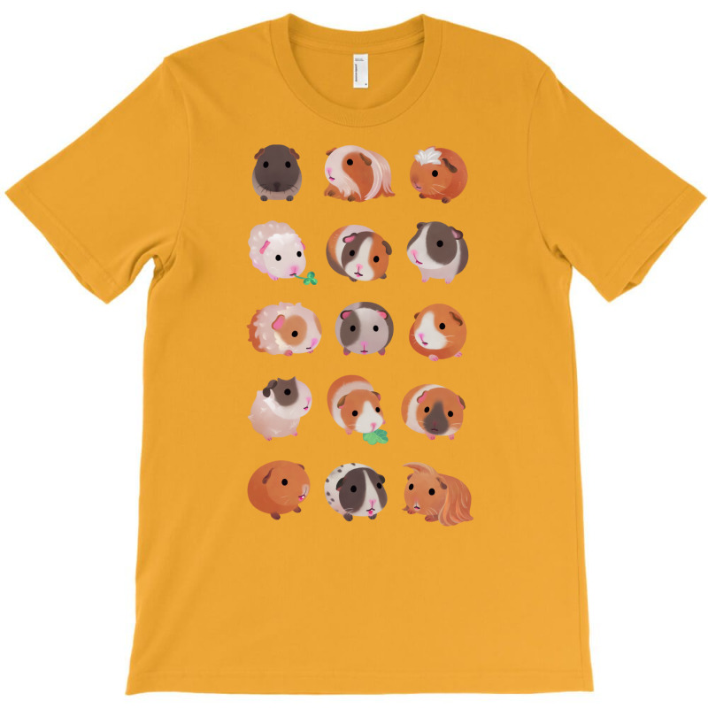 Guinea Pig Day Gift T-shirt | Artistshot