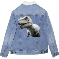 Dinosaurus Master Unisex Sherpa-lined Denim Jacket | Artistshot