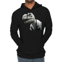 Dinosaurus Master Lightweight Hoodie | Artistshot