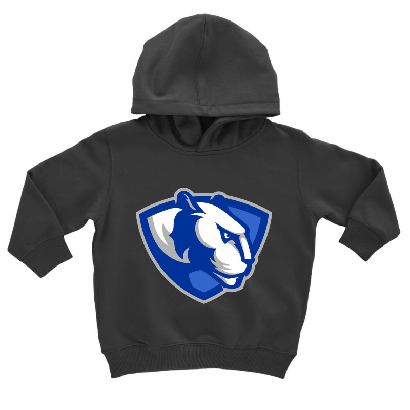 Eastern Illinois Panthers Toddler Hoodie by votreshop | Artistshot